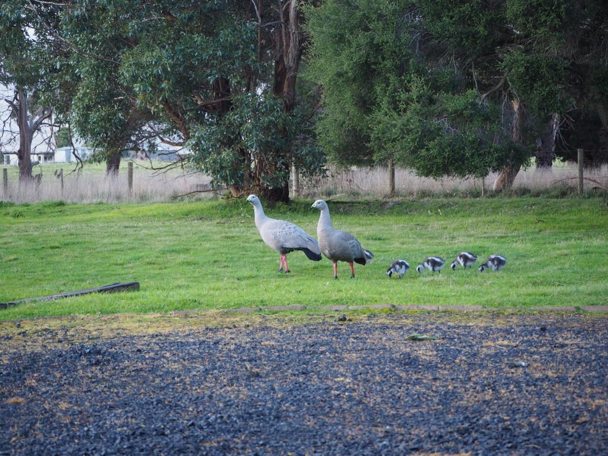 纽黑文Banksia Park Estate住宿加早餐旅馆 外观 照片