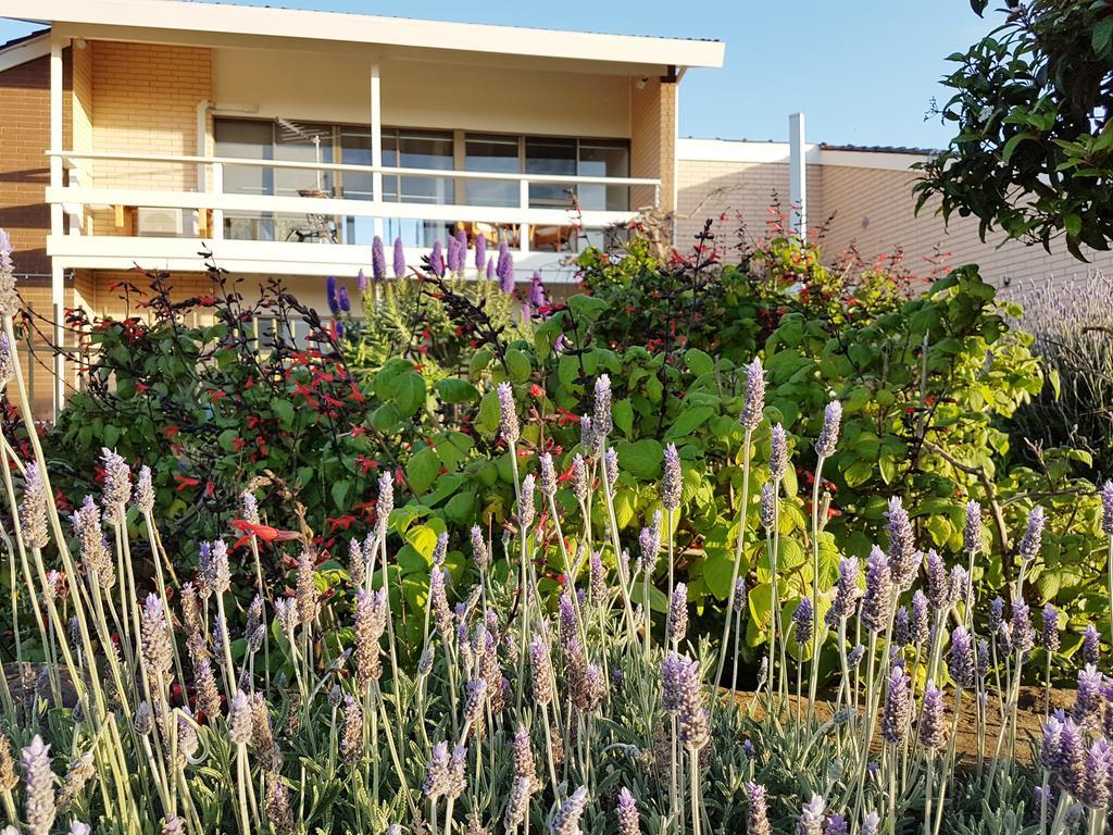 纽黑文Banksia Park Estate住宿加早餐旅馆 外观 照片